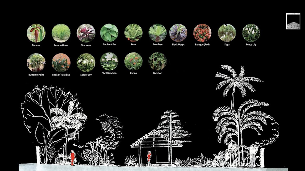 A Dialogue - Saturday Sojourns | Influence, Practice, and Way Forward - Landscape Design in Bangladesh