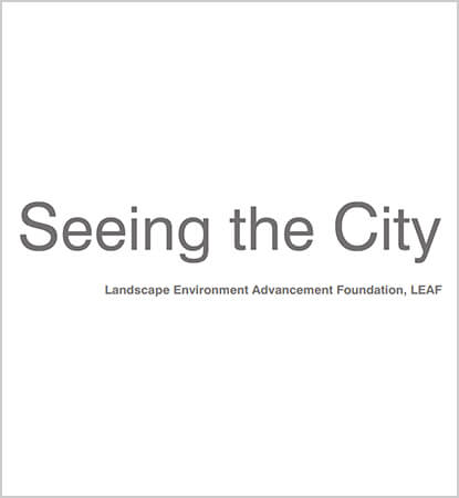 Seeing The City