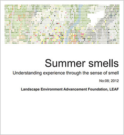 Summer Smells