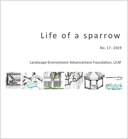 Life of a Sparrow