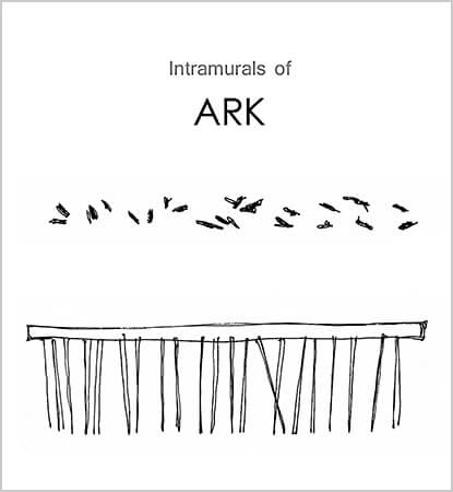 Intramurals Of Ark