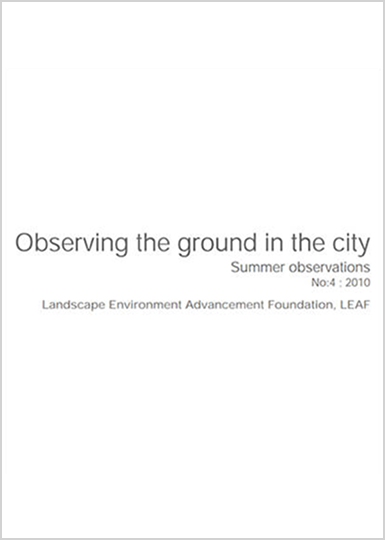 Observing the Ground in the City
