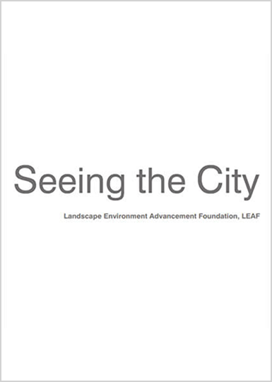 Seeing The City