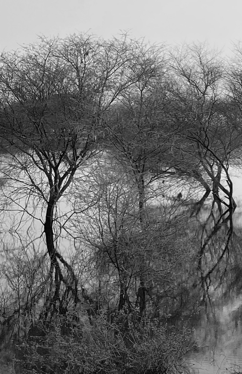 History in Landscapes