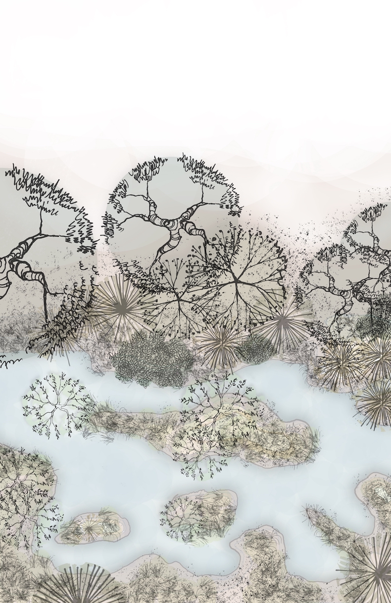 Transgressing Wilderness